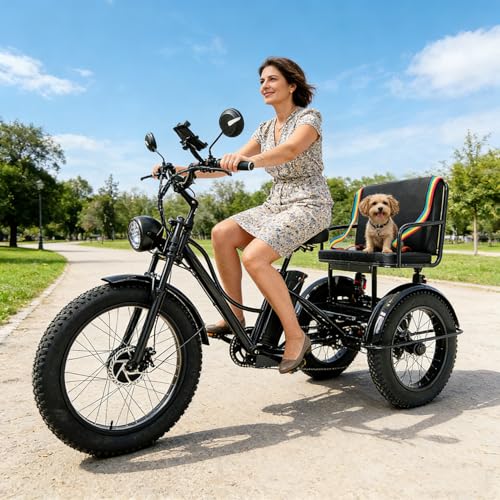 flatpincololee Elektro Dreirad Fahrrad für Erwachsene 48V 750W, 18Ah, 3 Räder Stabil mit Heckkorb, 7 Gang Schaltung, Scheibenbremsen, Ideal für Einkäufe, Pendeln und Freizeit Fahrten Black