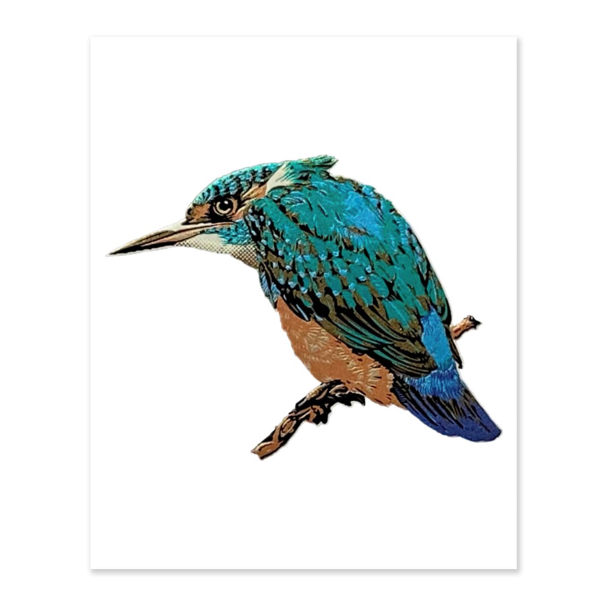 絵画 油彩画 キャンバス 額縁 カワセミ カワセミ（油絵）サイズ＝F6