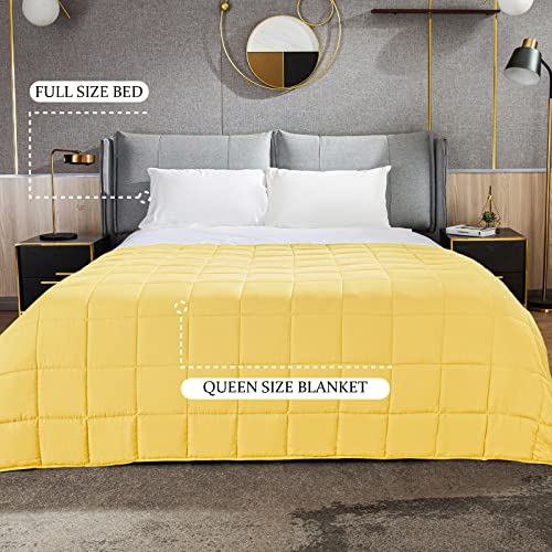 CYMULA Weighted Blanket for Adults (15lbs 48"x72" Twin Size) - Cooling Breathable Heavy Blankets for Summer Winter - Ultra Microfiber Soft Comfort Throw with Glass Beads - Gifts for Men/Women