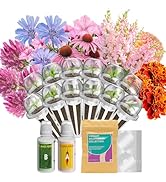 Amazon.com: inbloom 12-Pod Flower Seed Pod Kit for AeroGarden