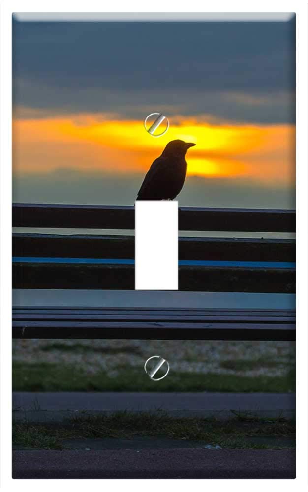 Switch Plate Single Toggle - Lee On Solent England Sunset Sea