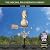 Good Directions Pineapple Weathervane, Pure Copper