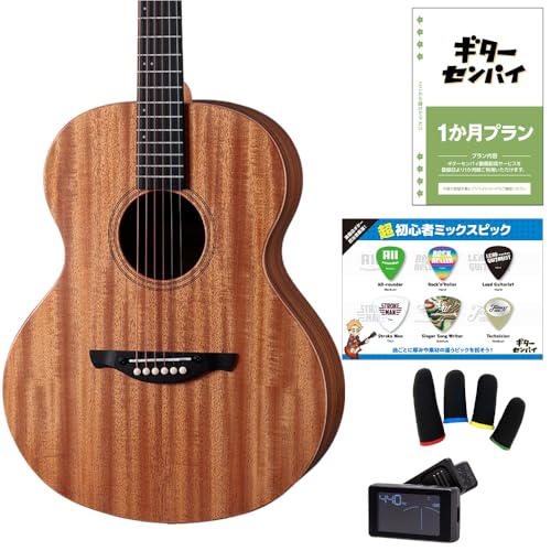 James J-300AII 超初心者セット サテンマホガニー アコースティックギター トップ単板 アジャスタブルサドル 簡単弦高調整 ジェームス