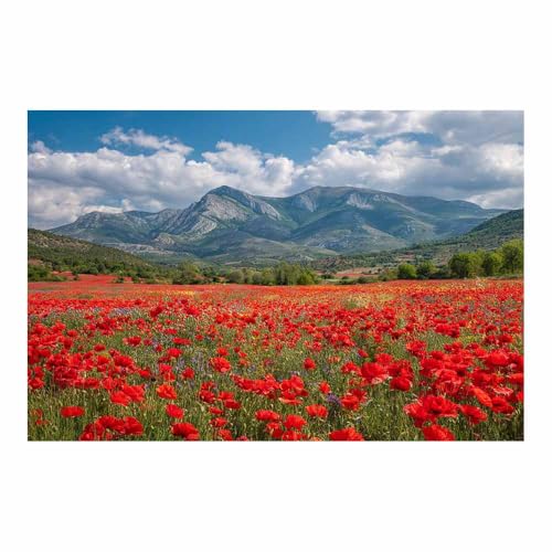 Toile fleurs magnifiques multicolores pour tableau décoration murale salon moderne 40x60cm