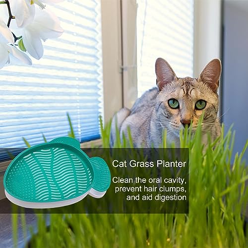 Copo de grama de gato - Kit crescente de plantador hidropônico para grama de trigo catnip | Caixa de