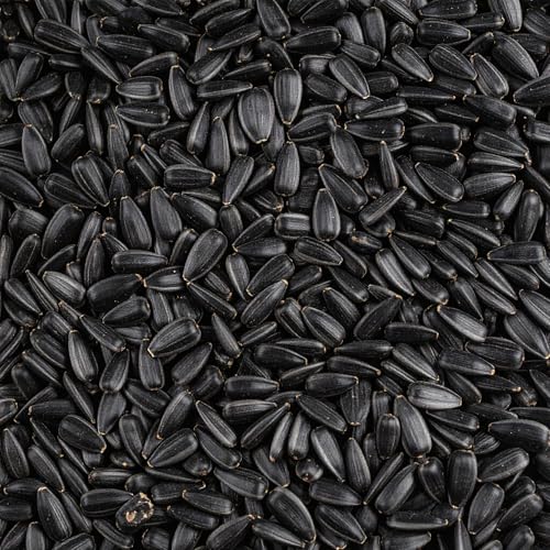 Leagrams Black Sunflower Seeds for Wild Birds (12.55kg) - Rich in Protein & Oil High-Energy Bird Food