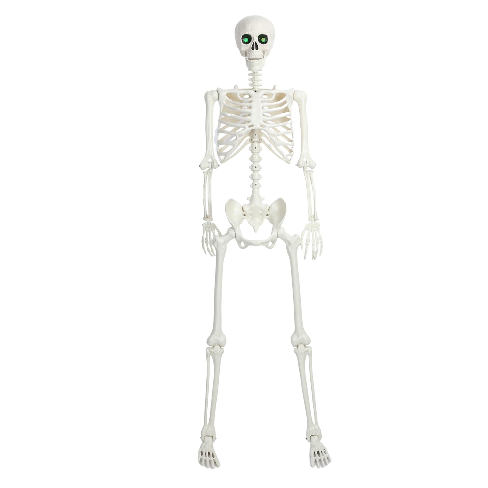 Halloween Skeleton, 5.4 FT Life Size Skeleton with Glowing Eyes, Posable Halloween Skeleton with Movable Joints, Realistic Plastic Skeleton for Indoor Outdoor Haunted House Halloween Decor