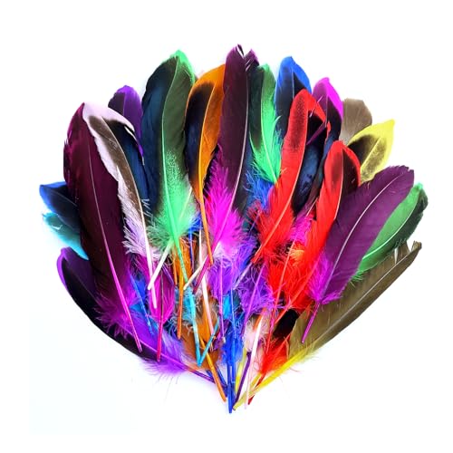 MERVYNGLYNNHUNTER 50 Stück Bunte Federn,Federn zum Basteln, Natürliche Feder,Indianer Kopfschmuck Kinder,Feder Deko für DIY Ohrring, Hochzeit,Traumfänger, Kopfschmucksfedern,Federball, Schulhandwerk MERVYNGLYNNHUNTER 50 Stück Bunte Federn,Federn zum Basteln, Natürliche Feder,Indianer Kopfschmuck Kinder,Feder Deko für DIY Ohrring, Hochzeit,Traumfänger, Kopfschmucksfedern,Federball, Schulhandwerk