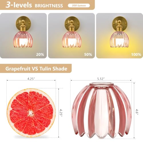 Image of Vintage Battery Operated Wall Sconce, Pink Tulip Glass Lampshade Wireless Rechargeable Battery Powered LED Wall Light with Remote Dimmable for Bedside Bedroom Doorway Living Room, Set of 2