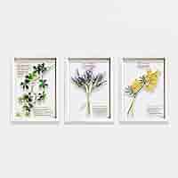 額絵 植物 アートフレーム 4枚セット ボタニカル ナチュラル AN-43782 輸入雑貨 額絵 植物柄 アートフレーム 4枚セット ボタニカル