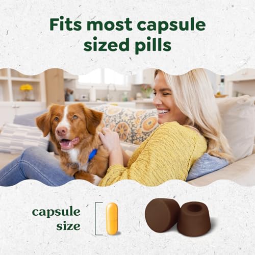 Image of Greenies Pill Pockets for Dogs Large Size, Dog Treat Pouch for Capsule Medication, Hickory Smoke Flavor, (6) 7.9 oz. Pouches