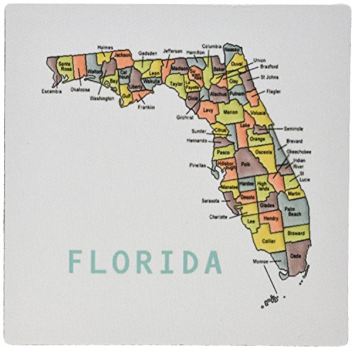 3dRose Color Map of Florida Counties Mouse Pad (mp_112383_1) [sAi]