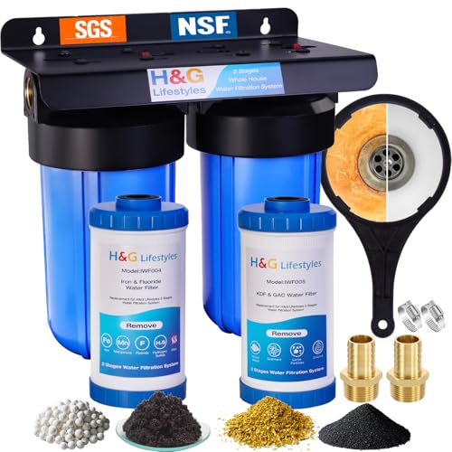 H&G Lifestyles Whole House Water Filter System,Iron Filter for Well Water,2 Stage Water Filtration System, Reduce Fluoride Chlorine Odor Heavy Metal Lead, 4.5x10 Cartridge,1' Barb Cooper Fittings