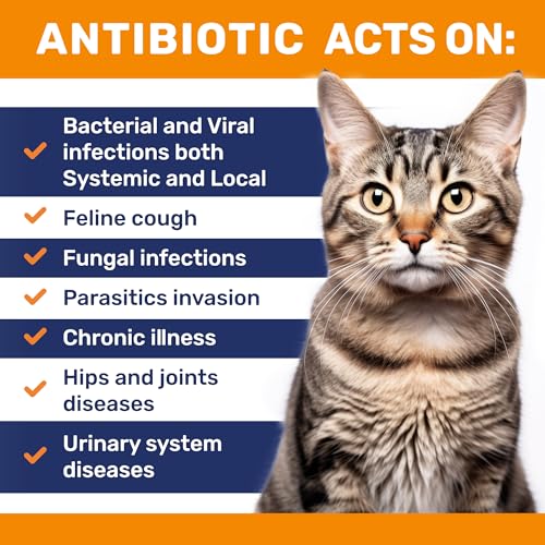 Cat Antibiotic to Help with Cough & Allergies – ​​Antibiotics for Cats to Aid with UTIs and Digestive Moments – HIPS & Joints Support – Attractive Chicken Taste – 2 Oz Bottle