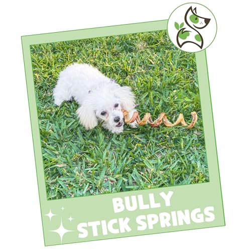 Nature Gnaws 855357007277 Bully Stick Springs For Dogs 7-8 Inch thumb #6