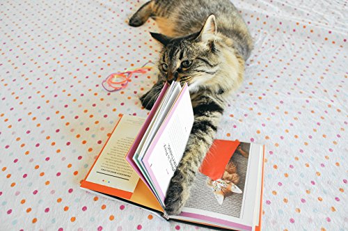 You Need More Sleep: Advice from Cats (Cat Book, Funny Cat Book, Cat Gifts for Cat Lovers)