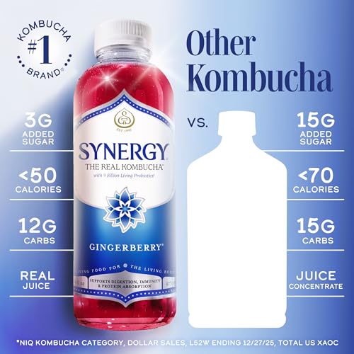 SYNERGY The Real Kombucha - Gingerberry - 16 fl oz Bottle - Raw Probiotic Drink for Gut Health and Immune Support