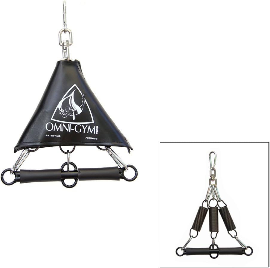 Omni Stretchy Swing Plus Spring Trapeze- Inversion Therapy, Yoga Practice, Aerial Fitness, Back Pain, Bounce and 360 Swivel (Black)