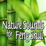  Fresh Country Meadow Bird Song