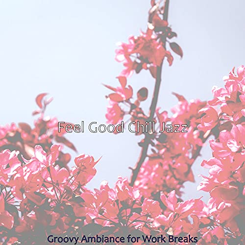 Groovy Ambiance for Work Breaks de Feel Good Chill Jazz en Amazon Music ...