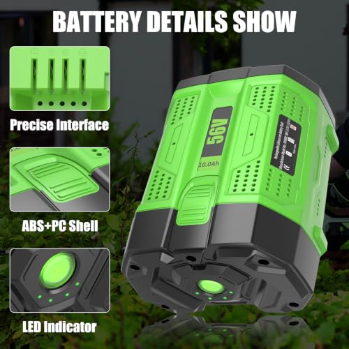 Image of 1Pack 10000mAh Replacement for EGO 56V Battery with Charger CH2100 (Green)