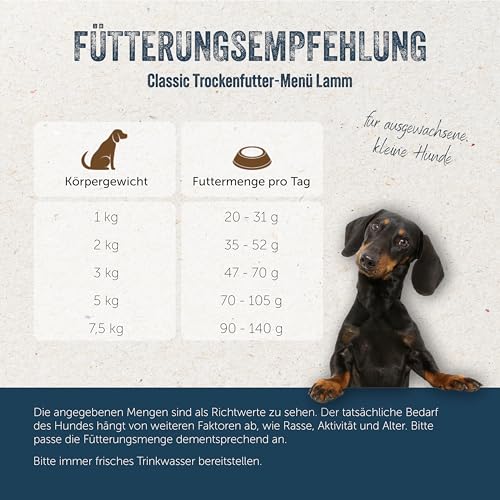 Lakefields Classic Hundefutter trocken | Lamm 60% | 1kg | Getreidefreies Trockenfutter für kleine Hunde | Extra kleine Kroketten | Lebensmittelqualität | Karotte, Äpfel & Spinat | Schonend gebacken