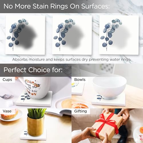 Image of The Better Home Diatomite Coasters Set of 6 with Holder (Dia - 10cm) | Dining Table Decor Accessories | Cups /Coffee Mugs /Glasses Coaster Set | Glass Cover Lid