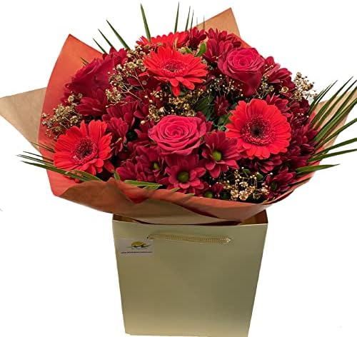 Merry Christmas Bouquet Fresh Red Roses Gerberas Chrysanthemums - Gypsophila in Card Vase Box for Delivery โ Festive Floral Arrangement for New Year, Celebration and Gifting