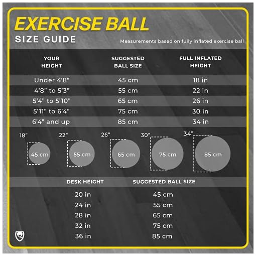 Exercise Ball (65 CM) for Stability & Yoga - Workout Guide Incuded - Professional Quality (Blue) - Image 5