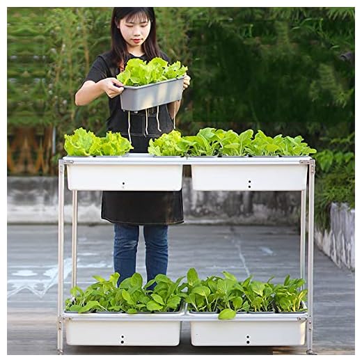 Dubbellagers upphöjd trädgårdssäng, 8 självbevattnande planteringskar med 2 avloppshål, odlingslåda med ben/hjul, för grönsaker Blommor Örter