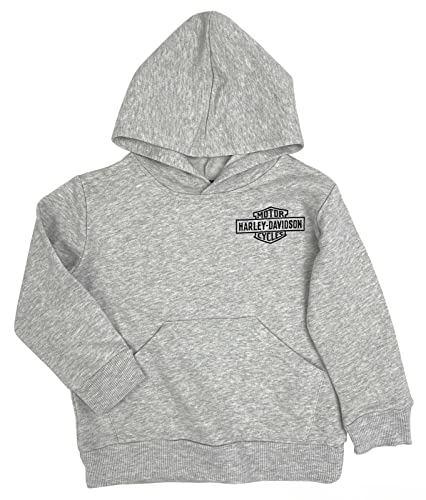 Harley-Davidson Little Boys' B&S Toddler Fleece Terry Pullover Hoodie - Gray