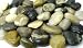 Mixed color river rocks, 5.5 lb. Bag, 3/4" to 1 1/2"