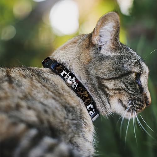 Collar de gato breakaway Buckle-Down Cali con diseño de oso pardo de nailon resistente 3