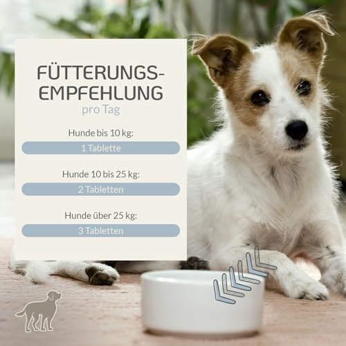 Provicell Vitamin B Komplex für Hunde mit B12 & Omega 3 – Vitamin B Tabletten für Hunde – 120 Tabletten – Ergänzung für Energie & aktive Phasen – Mit Tierärzten in Deutschland entwickelt