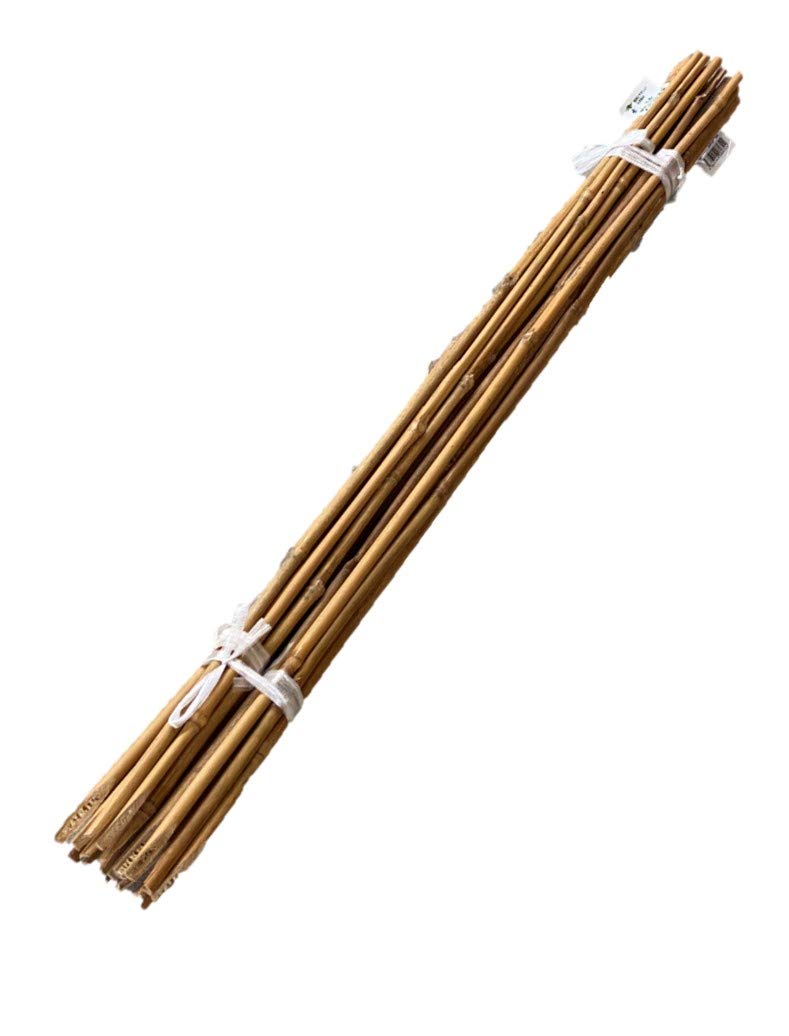 Amazon | 臼井農畜産 (自社製造) 天然竹 女竹 60cm20本 【根元カットで