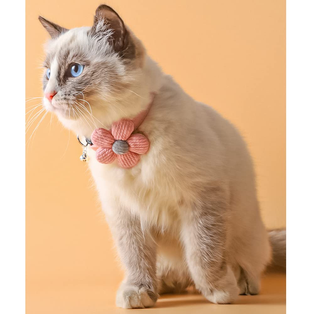 オレンジフラワー、わんちゃん猫ちゃん用襟付き首輪 【公式通販】