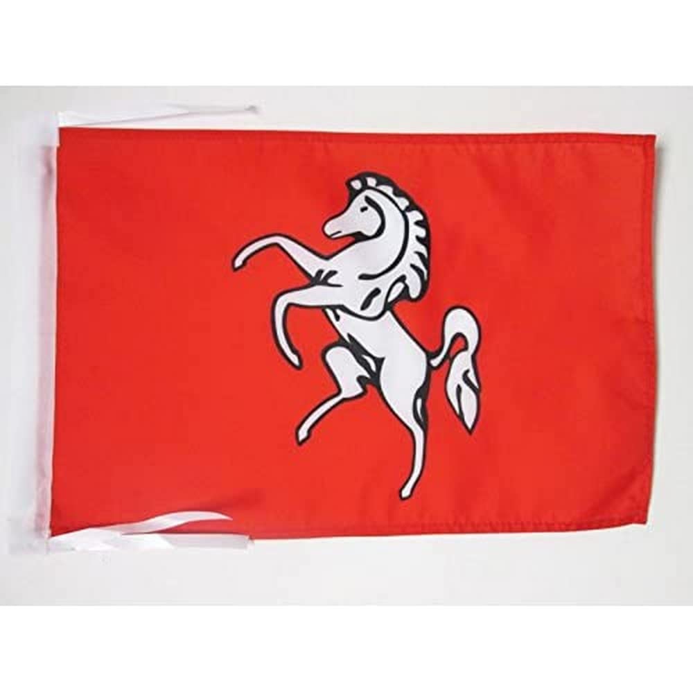 Iran Old Persia Flag 18'' x 12'' cords - Persian SMALL flags 30 x 45cm - Banner 18x12 in - AZ FLAG — view 273
