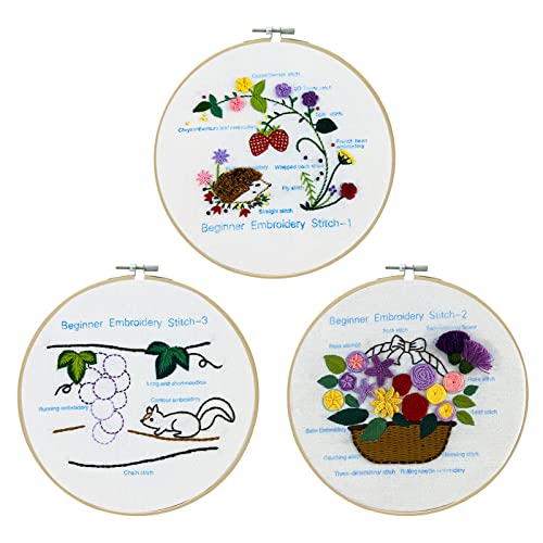 Conjuntos de bordados estampados com padrão e instruções kits de ponto cruz para iniciantes kits de