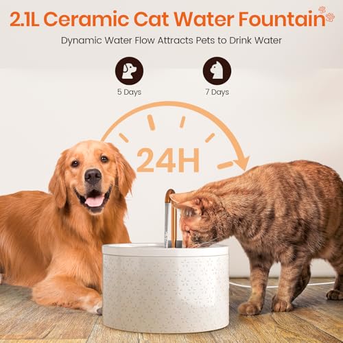Fuente para agua para gatos de cerámica MISFANS con filtros miniatura 5