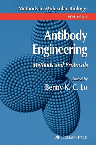 Antibody Engineering: Methods and Protocols (Methods in Molecular ...