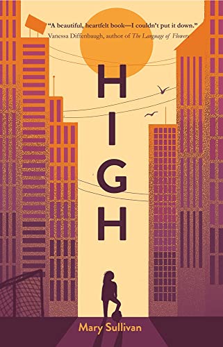 High view 2
