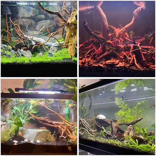 Image of Azil Natural Aquarium Driftwood Root - Driftwood for Aquarium Decor, 170g~0.38lb (14″-16″), Fish Tanks, Terrariums, Aquascaping & Planted Tanks