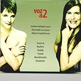 sipeko sicherheitstechnik gesellschaft mbh  Sipek (Dvorak)