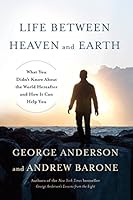 Algopix Similar Product 10 - Life Between Heaven and Earth What You