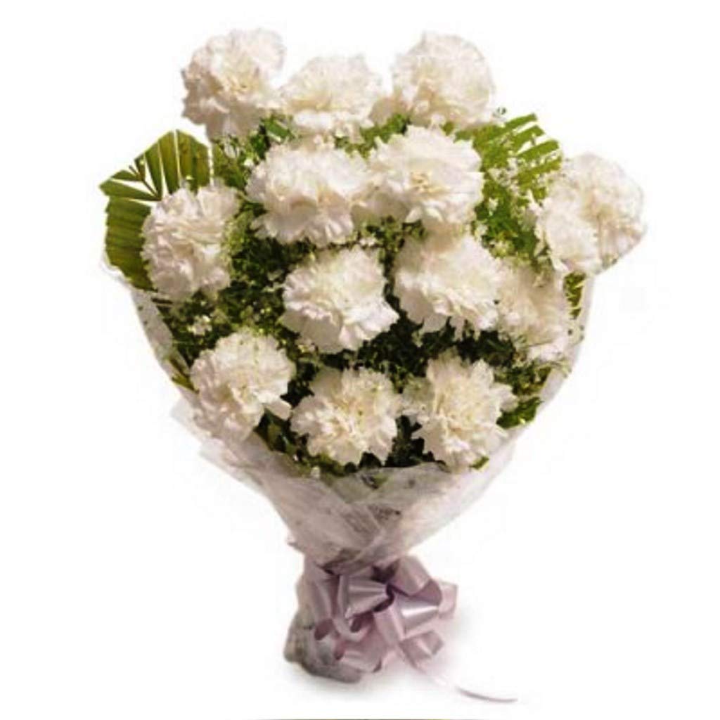 Fresh Flowers Bunch of 10 White Carnations in Cellophane Packing || Bunch of 10 (White)-image-11
