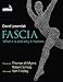 Fascia: What it is and Why it Matters
