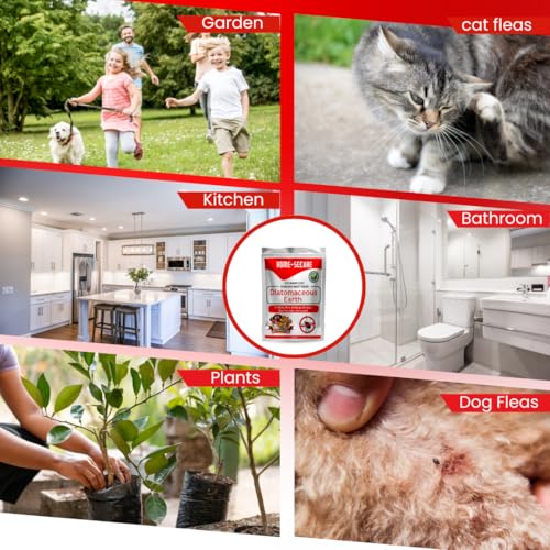 Image of Home-Secure Diatomaceous Earth Powder-Pack of 2 | Natural, Pet Safe, Organic | Plant Friendly Multipurpose Eco-friendly Dust (950 gm X 2)