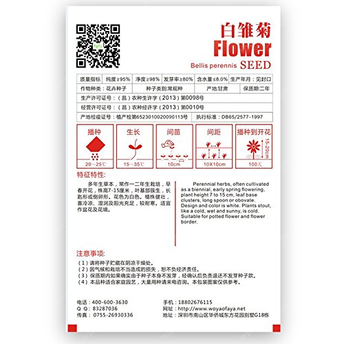 imballaggio Originale Bianche margherite semi nane Bellis perennis semi Bonsai Partenio Margherita Fiori di crisantemo semi - 60 pezzi