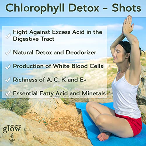 Chloroglow Liquid Chlorophyll Detox Shots | All Natural and Organic Plant Based Drink to Boost Energy and Your Immune System | Cleanses and Detoxifies - Green Apple (1 Pack) - Image 7