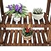 Yaheetech Tiered Rolling Plant Stand Indoor/Outdoor Wooden Flower Stand Shelf Storage Rack Wooden Ladder Shelf Rack Corner Plant Stand for Living Room/Balcony/Patio/Yard Outdoor Plant Display, Brown
